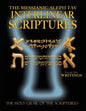 Messianic Aleph Tav Interlinear Scriptures Volume Two the Writings, Paleo and Modern Hebrew-Phonetic Translation-English, Bold Black Edition Study Bib - Paperback