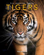 Tigers: Amazing Pictures & Fun Facts on Animals in Nature - Paperback
