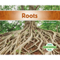 Roots - Library Binding