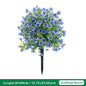 Eucalyptus Violet Floor Outlet Garden Green Plant