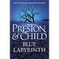 Blue Labyrinth - Hardcover