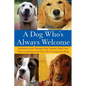 A Dog Who's Always Welcome: Assistance and Therapy Dog Trainers Teach You How to Socialize and Train Your Companion Dog - Hardcover