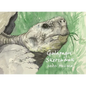 Galápagos Sketchbook - Hardcover
