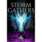 The Storm Gathers - Hardcover