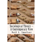 Sociological Theory - A Contemporary View: How to Read, Criticize and Do Theory - Paperback