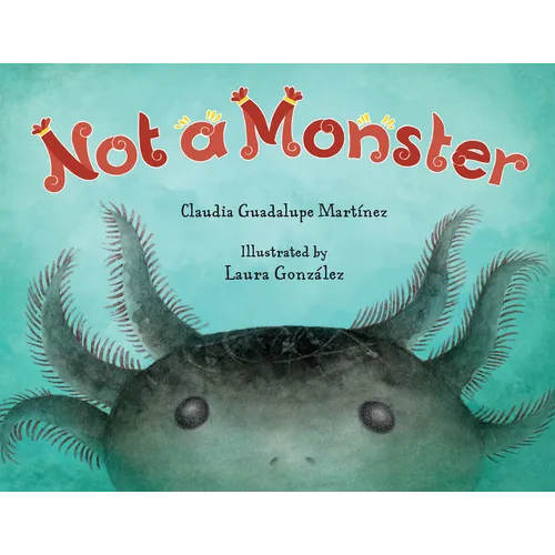 Not a Monster - Hardcover