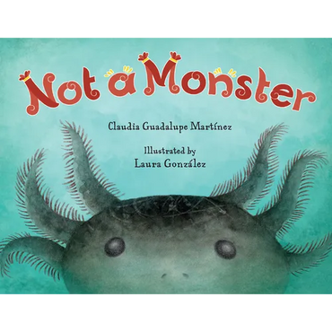 Not a Monster - Hardcover