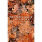 Geoffrey Hill's later work: Radiance of apprehension - Paperback