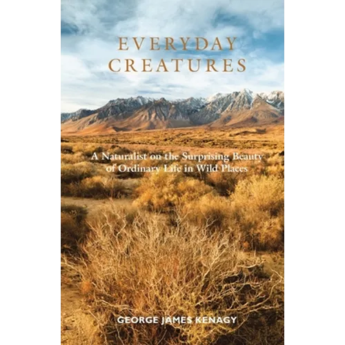 Everyday Creatures: A Naturalist on the Surprising Beauty of Ordinary Life in Wild Places - Paperback