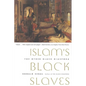 Islam's Black Slaves: The Other Black Diaspora - Paperback