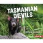 Tasmanian Devils: Nature's Cleanup Crew - Library Binding