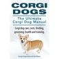 Corgi Dogs. The Ultimate Corgi Dog Manual. Corgi dog care, costs, feeding, grooming, health and training. - Paperback