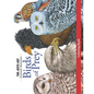Birds of Prey Coloring Book - Paperback