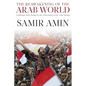 The Reawakening of the Arab World: Challenge and Change in the Aftermath of the Arab Spring - Paperback