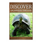 Galapagos Tortoise - Discover: Early reader's wildlife photography book - Paperback
