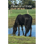 Heart of a Horse - Paperback