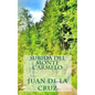 Subida del monte Carmelo - Paperback