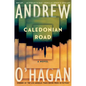 Caledonian Road - Hardcover
