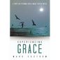 Experiencing Grace: A Thirty-Day Pilgrimage with a Mildly Autistic Mystic - Paperback