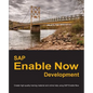 SAP Enable Now Development: Create high-quality training material and online help using SAP Enable Now - Paperback