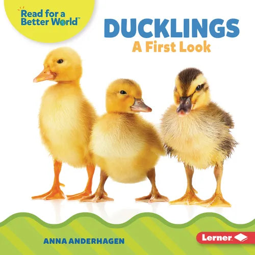 Ducklings: A First Look - Library Binding