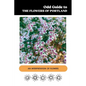 Odd Guide to the Flowers of Portland: An Interpretation of Flowers - Paperback