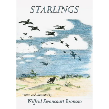 Starlings - Paperback