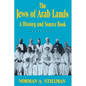 The Jews of Arab Lands: A History and Source Book - Paperback