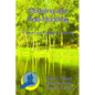Modeling and Role-Modeling: A Theory and Paradigm for Nurses - Paperback