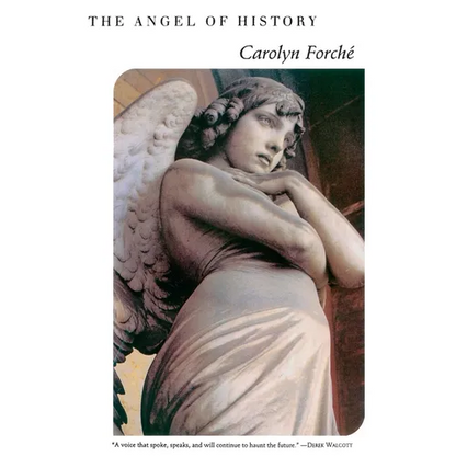 The Angel of History - Paperback