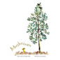 Mushroom - Hardcover