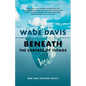 Beneath the Surface of Things: New and Selected Essays - Paperback