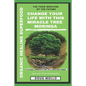 The Miracle Tree With Organic Healing Superfood, Change your life with Moringa Oleifera: The food medicine for natural remedies and self healing power - Paperback