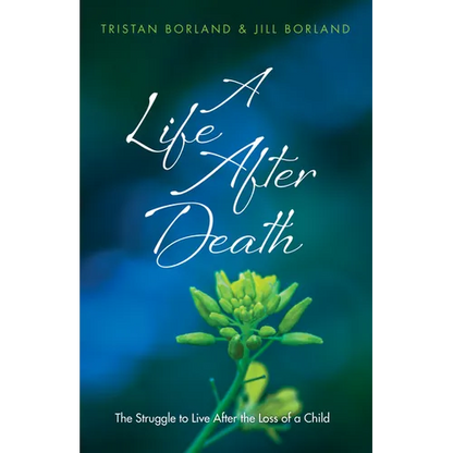 A Life After Death: The Struggle to Live After the Loss of a Child - Paperback