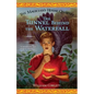 The Tunnel Behind the Waterfall - Paperback
