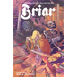 Briar Vol. 2 - Paperback