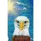 The Adventures of Troy the Bald Eagle - Hardcover