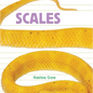 Scales - Board Book