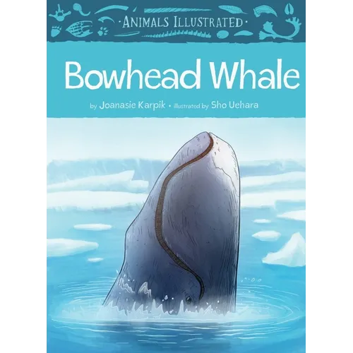 Animals Illustrated: Bowhead Whale - Hardcover