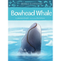 Animals Illustrated: Bowhead Whale - Hardcover