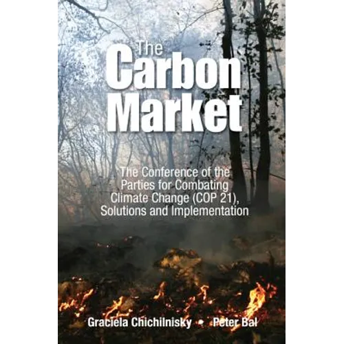 Reversing Climate Change: How Carbon Removals Can Resolve Climate Change and Fix the Economy - Paperback