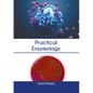 Practical Enzymology - Hardcover