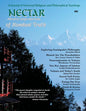 Nectar of Non-Dual Truth #29 - Paperback
