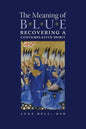The Meaning of Blue: Recovering a Contemplative Spirit - Paperback