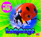 Ladybugs - Library Binding