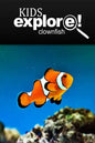 Clown Fish - Kids Explore: Animal books nonfiction - books ages 5-6 - Paperback