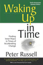 Waking Up In Time: Finding Inner Peace in Times of Accelerating Change - Paperback