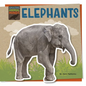 Elephants - Paperback
