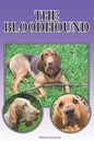 The Bloodhound: A Complete and Comprehensive Beginners Guide To: Buying, Owning, Health, Grooming, Training, Obedience, Understanding - Paperback