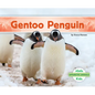 Gentoo Penguin - Library Binding